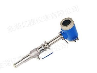 拔出式電磁流量計